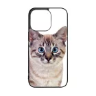 Tündéri házi cicus cicás iPhone 14 Pro tok