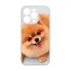 Pomerániai spitz - Akarsz játszani iPhone 14 Pro Magsafe tok