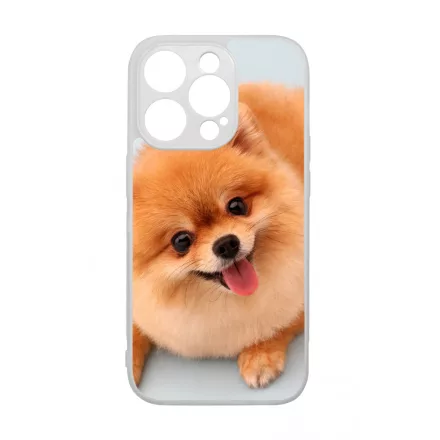 Pomerániai spitz - Akarsz játszani iPhone 14 Pro Magsafe tok