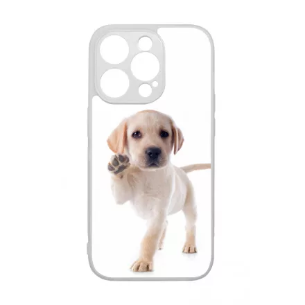 Kérsz Pacsit - Labrador kutyus iPhone 14 Pro Magsafe tok
