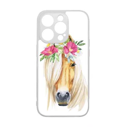 Csodaszép rajzolt lovas iPhone 14 Pro tok