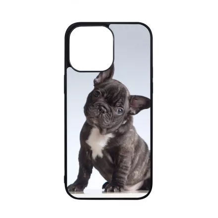 Tündéri Francia bulldog iPhone 14 Pro Max Magsafe tok