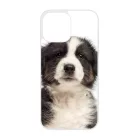 A legédesebb ausztrál juhász kis kutya iPhone 14 Pro Max tok