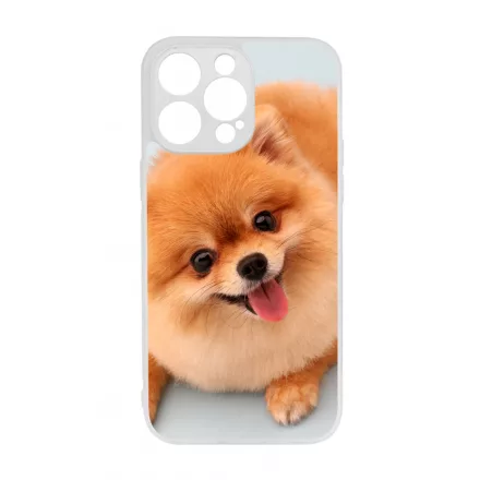 Pomerániai spitz - Akarsz játszani iPhone 14 Pro Max Magsafe tok