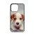 Angyali Jack Russel Terrier kis kutya iPhone 14 Pro Max Magsafe tok