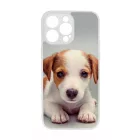 Angyali Jack Russel Terrier kis kutya iPhone 14 Pro Max tok