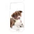 Édes Border Collie kölyök kutyus iPhone 14 Pro Max Magsafe tok