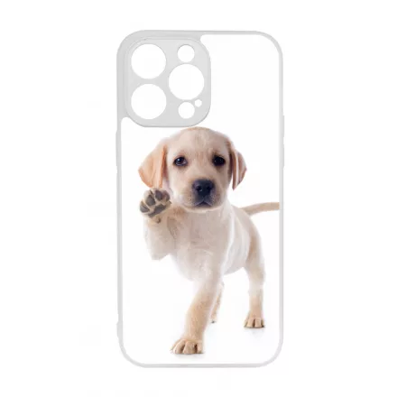 Kérsz Pacsit - Labrador kutyus iPhone 14 Pro Max Magsafe tok