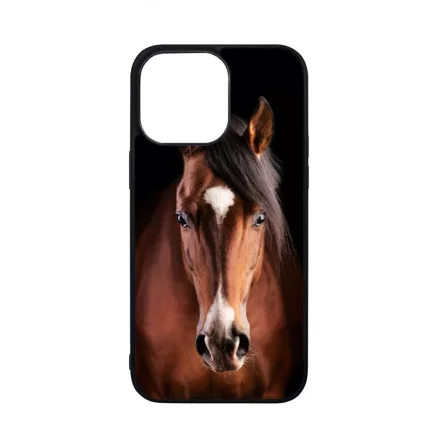 A Lovam Táncos - Lovas iPhone 14 Pro Max Magsafe tok