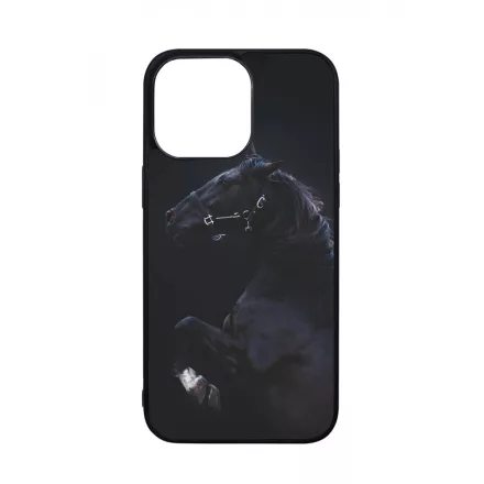 Apollo, a lenyűgöző - Lovas iPhone 14 Pro Max Magsafe tok