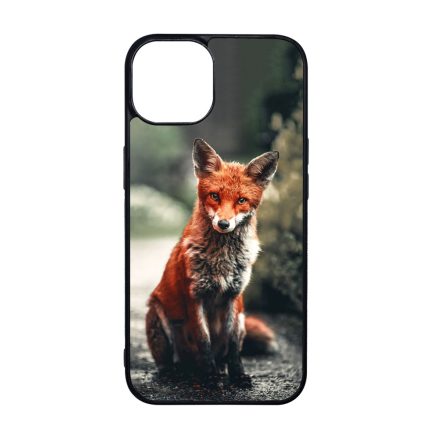 Autumn Fox őszi róka iPhone 15 Plus tok