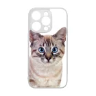 Tündéri házi cicus cicás iPhone 15 Pro tok