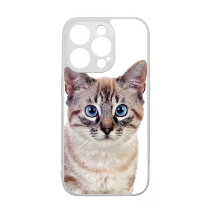 Tündéri házi cicus cicás iPhone 15 Pro tok