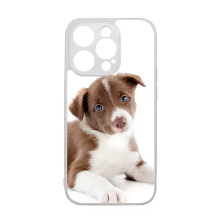 Édes Border Collie kölyök kutyus iPhone 15 Pro tok