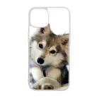 kutyás kutyus iPhone 15 Pro Max tok