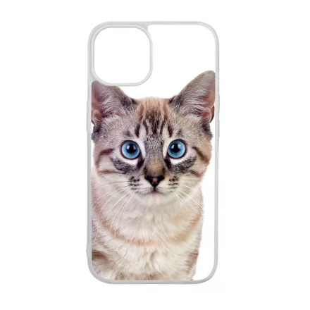 Tündéri házi cicus cicás iPhone 15 Pro Max Magsafe tok