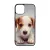 Angyali Jack Russel Terrier kis kutya iPhone 15 Pro Max tok