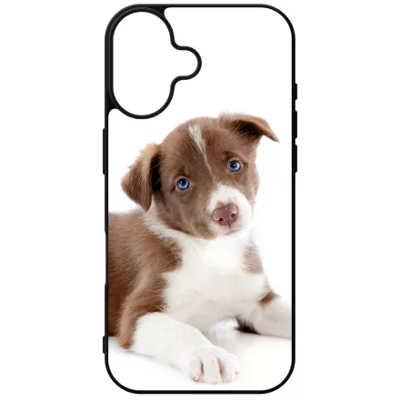 Édes Border Collie kölyök kutyus iPhone 16 tok