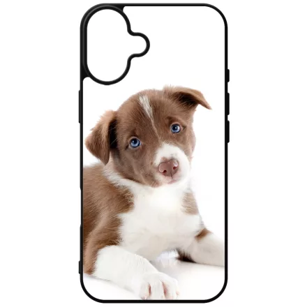 Édes Border Collie kölyök kutyus iPhone 16 Plus Magsafe tok