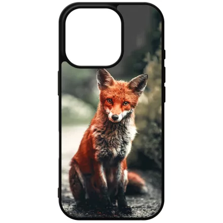 Autumn Fox őszi róka iPhone 16 Pro Magsafe tok