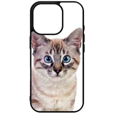 Tündéri házi cicus cicás iPhone 16 Pro Magsafe tok