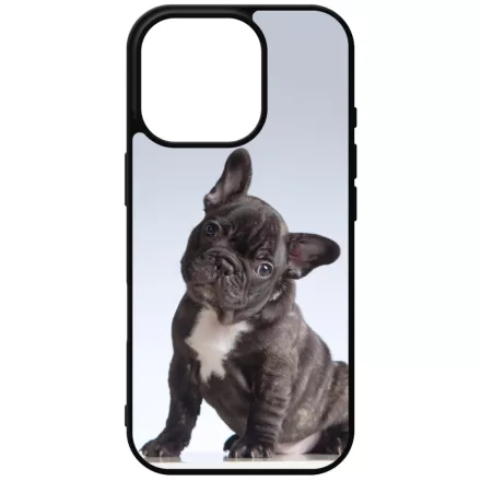Tündéri Francia bulldog iPhone 16 Pro tok
