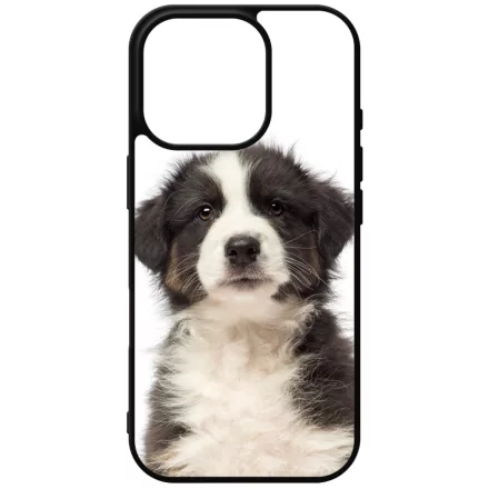 A legédesebb ausztrál juhász kis kutya iPhone 16 Pro Magsafe tok