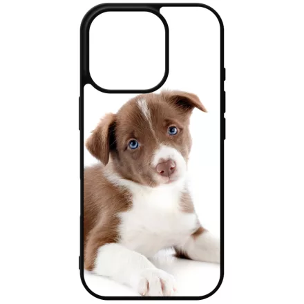 Édes Border Collie kölyök kutyus iPhone 16 Pro Magsafe tok