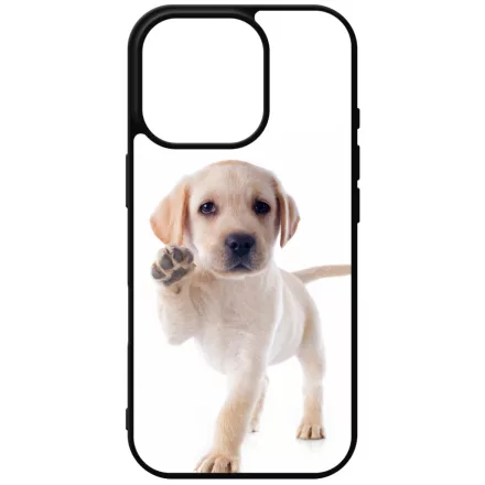 Kérsz Pacsit - Labrador kutyus iPhone 16 Pro Magsafe tok
