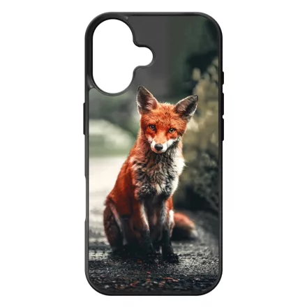 Autumn Fox őszi róka iPhone 17 tok