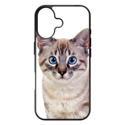 Tündéri házi cicus cicás iPhone 17 tok