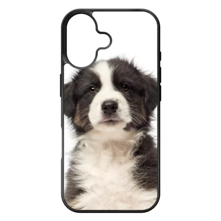 A legédesebb ausztrál juhász kis kutya iPhone 17 tok