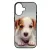 Angyali Jack Russel Terrier kis kutya iPhone 17 tok