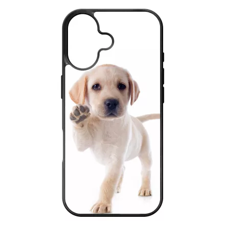 Kérsz Pacsit - Labrador kutyus iPhone 17 tok