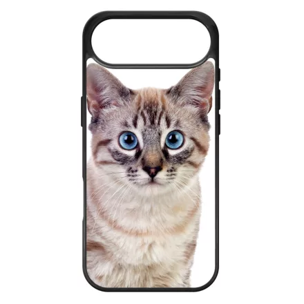 Tündéri házi cicus cicás iPhone 17 Air tok