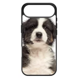 A legédesebb ausztrál juhász kis kutya iPhone 17 Air tok