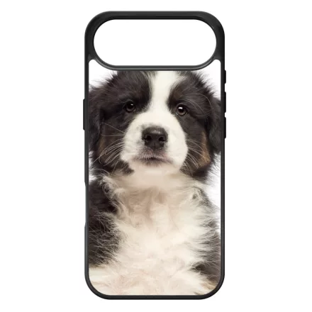 A legédesebb ausztrál juhász kis kutya iPhone 17 Air tok