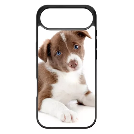 Édes Border Collie kölyök kutyus iPhone 17 Air MagSafe tok