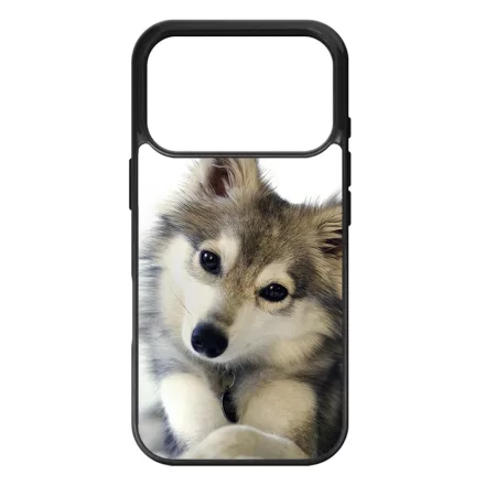 kutyás kutyus iPhone 17 Pro MagSafe tok