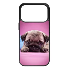 kölyök kutyus francia bulldog kutya iPhone 17 Pro 18 Pro tok