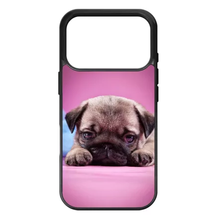 kölyök kutyus francia bulldog kutya iPhone 17 Pro 18 Pro tok