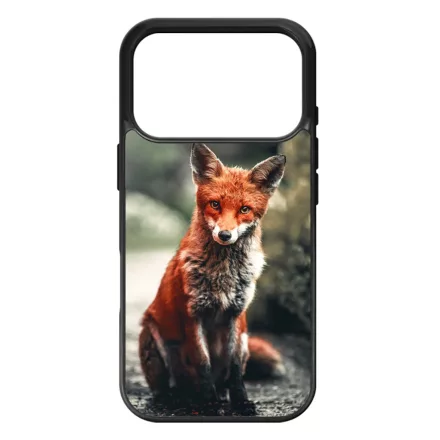 Autumn Fox őszi róka iPhone 17 Pro 18 Pro tok
