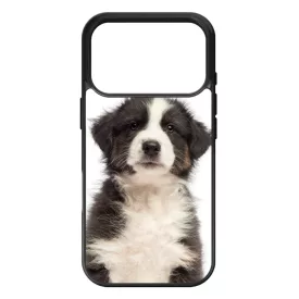 A legédesebb ausztrál juhász kis kutya iPhone 17 Pro tok