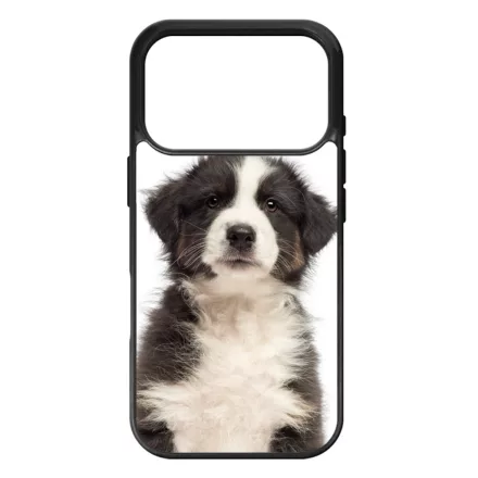 A legédesebb ausztrál juhász kis kutya iPhone 17 Pro 18 Pro tok