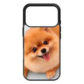 Pomerániai spitz - Akarsz játszani iPhone 17 Pro 18 Pro tok