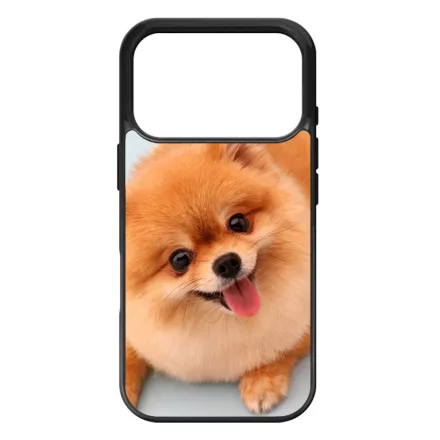 Pomerániai spitz - Akarsz játszani iPhone 17 Pro 18 Pro MagSafe tok