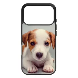 Angyali Jack Russel Terrier kis kutya iPhone 17 Pro tok