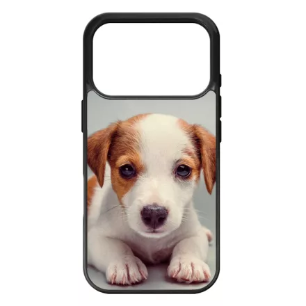 Angyali Jack Russel Terrier kis kutya iPhone 17 Pro 18 Pro MagSafe tok