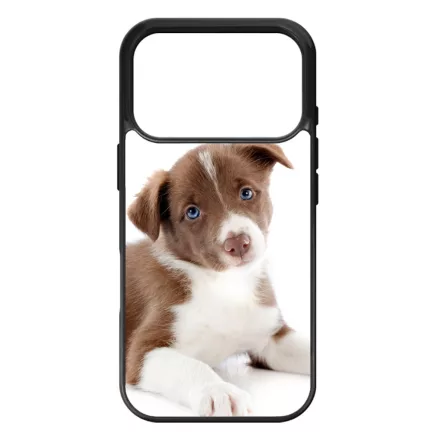 Édes Border Collie kölyök kutyus iPhone 17 Pro 18 Pro tok