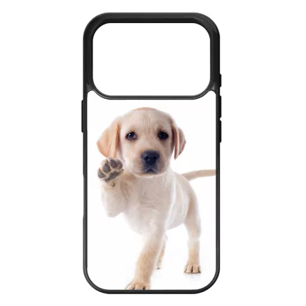 Kérsz Pacsit - Labrador kutyus iPhone 17 Pro MagSafe tok
